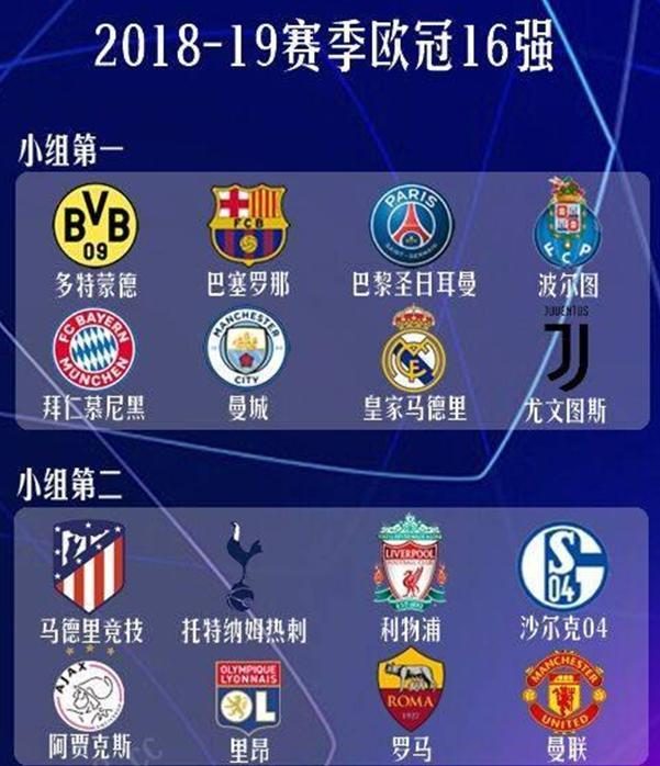 子网球整体