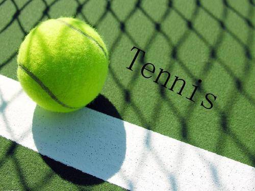 东泰山提供 东泰山提供