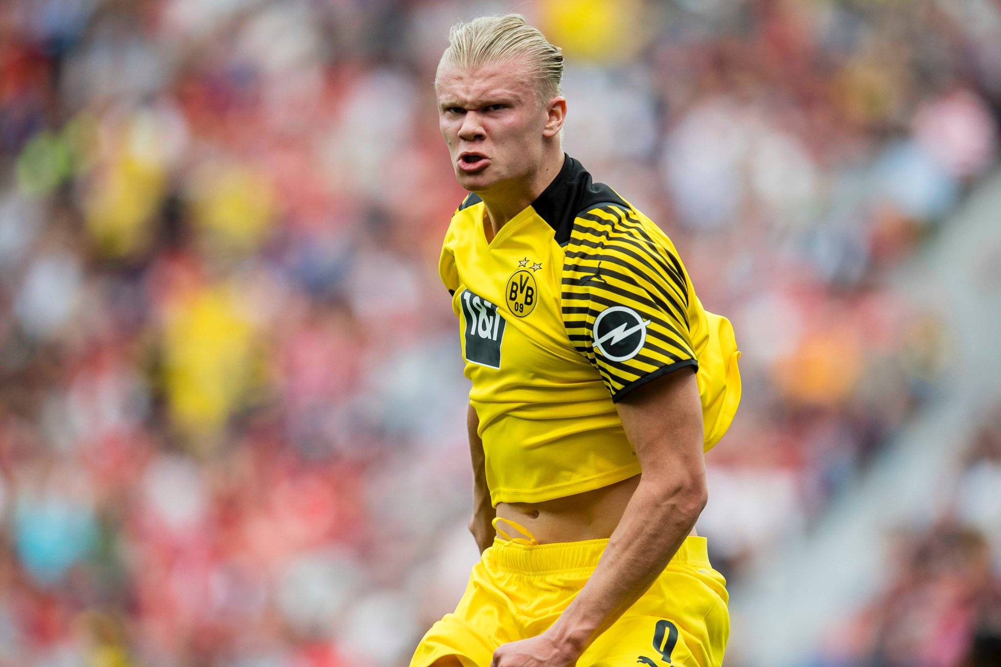 牛棚压制 牛棚压制